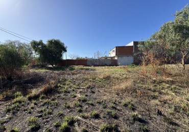 VENDO TERRENO 848 M2 SAN BENITO
