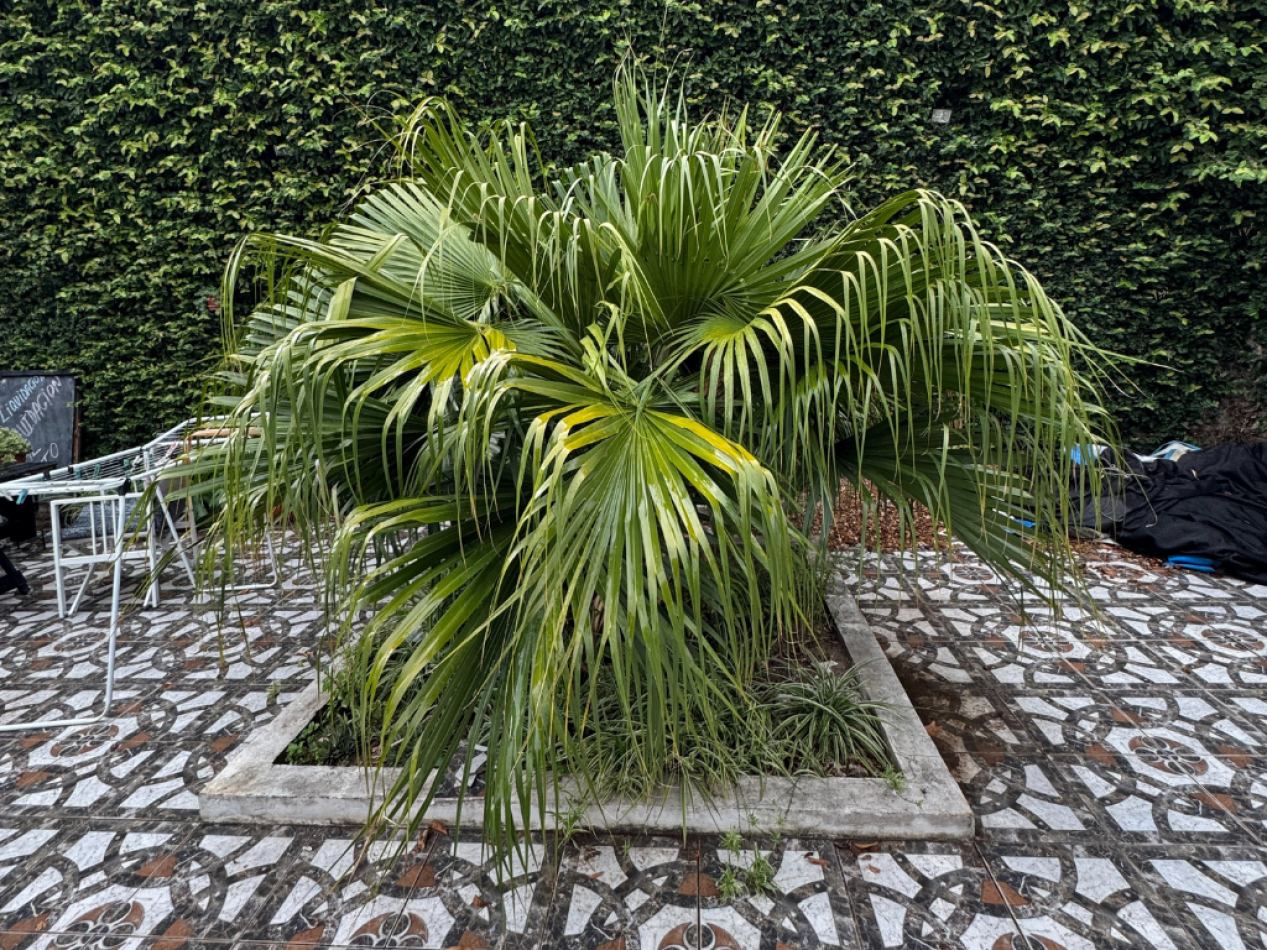 SE VENDE CASA ZONA GARRIGO Y MIGUEL DAVID