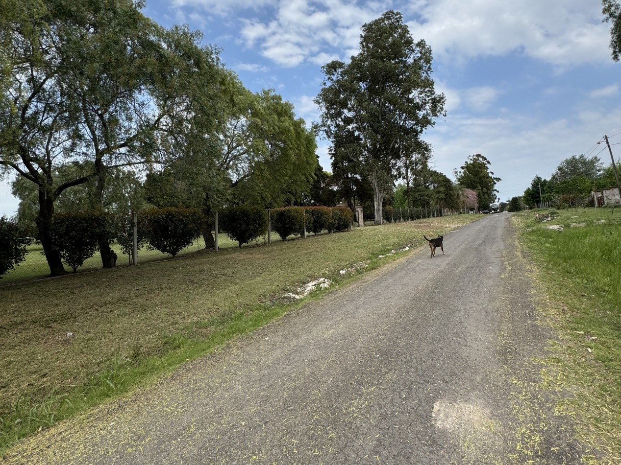TERRENO A METROS DE RENE FAVALORO EN SAUCE MONTRULL