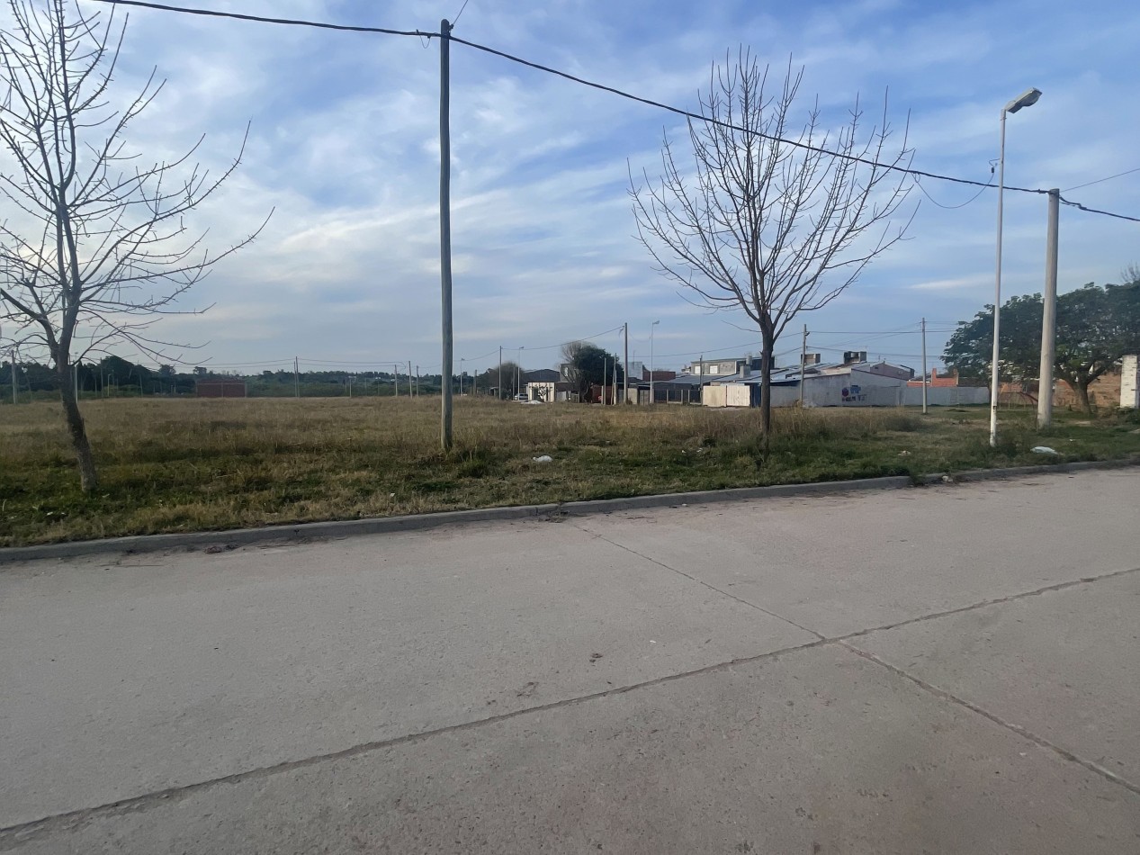 TERRENOS EN PARANA ZONA BORGES Y FRANCIA