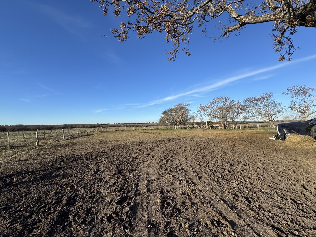 VENDO CAMPO EN MOJONES NORTE