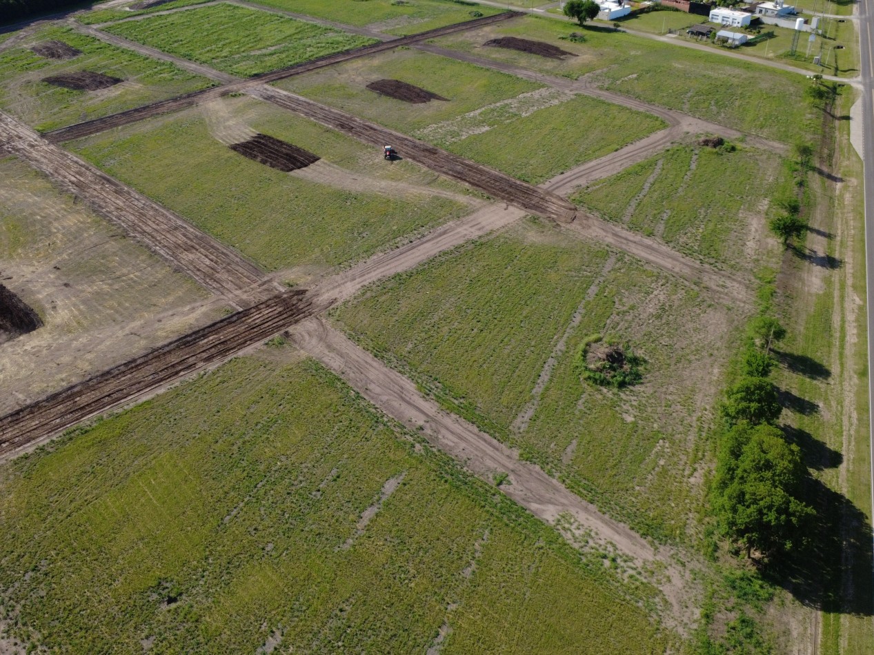 Lotes en venta Tezanos Pintos - Precio lanzamiento sobre Av. Los Cisnes