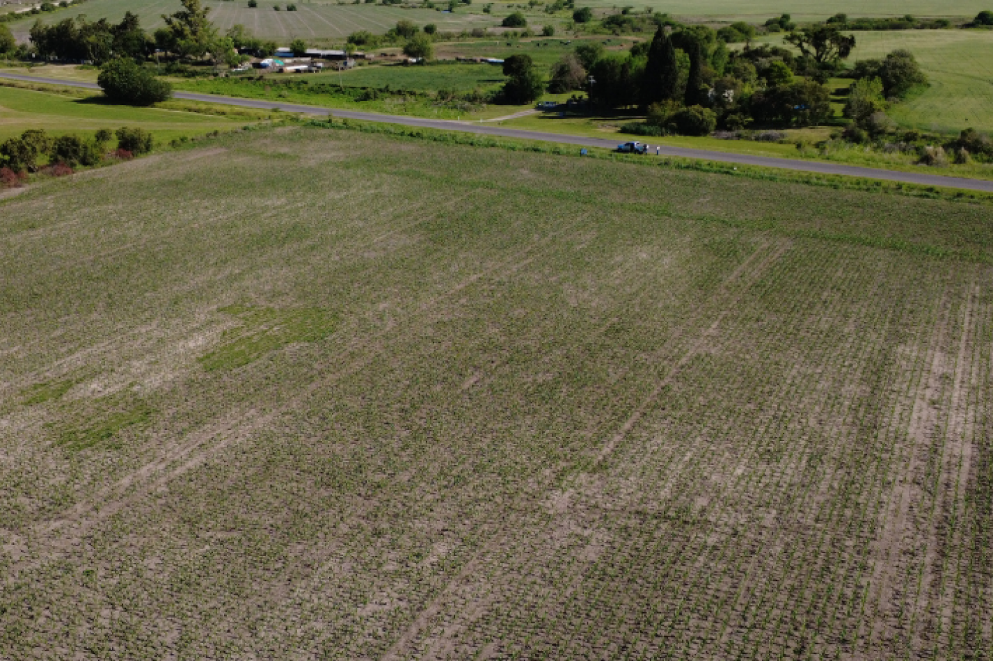 VENTA - CAMPO SOBRE RUTA EN SEGUI 