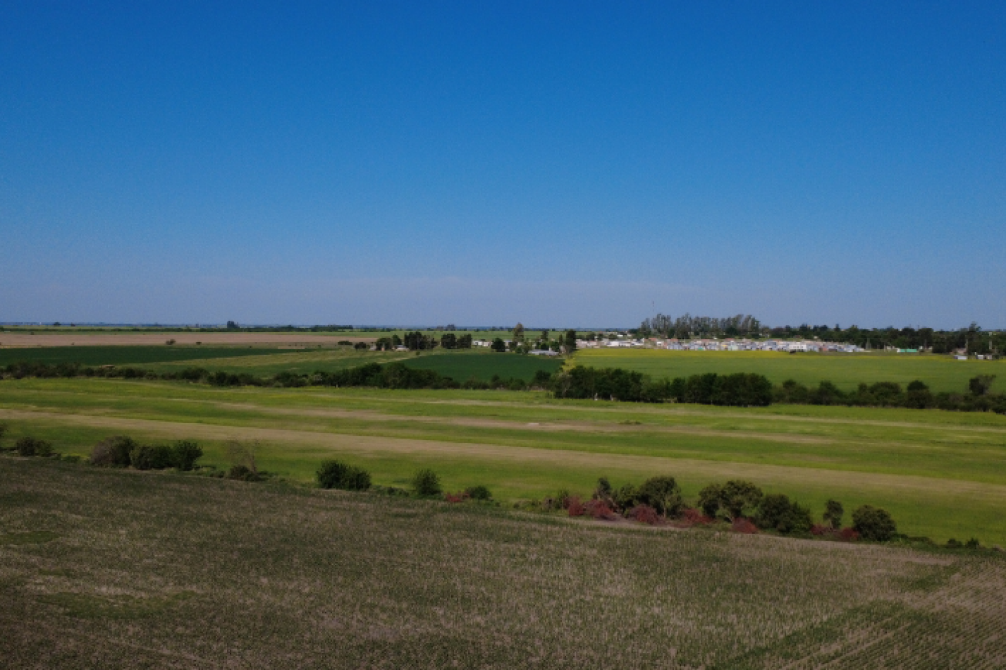 VENTA - CAMPO SOBRE RUTA EN SEGUI 