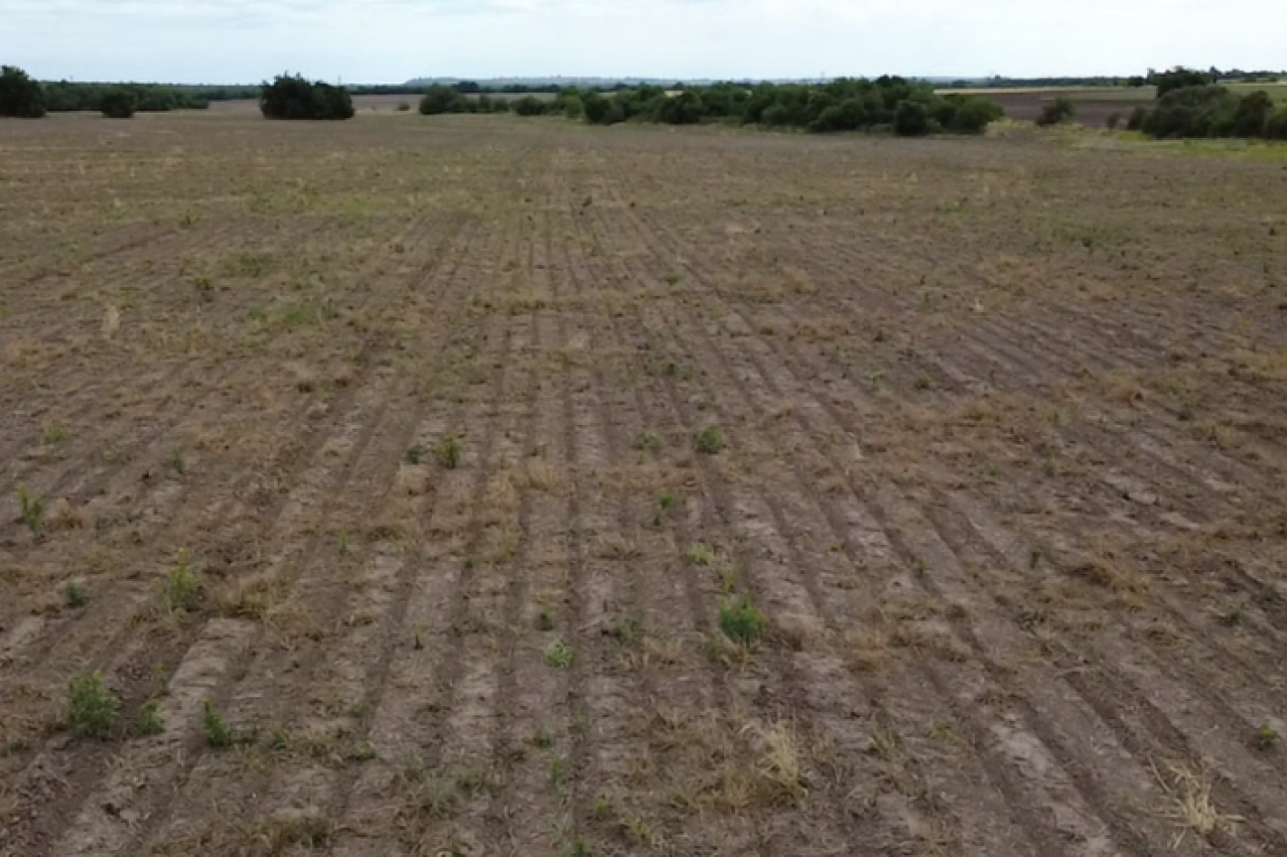 Campo de 10 hectareas en Colonia Avellaneda - Zona Acceso Norte, ideal inversion cerca de Parana