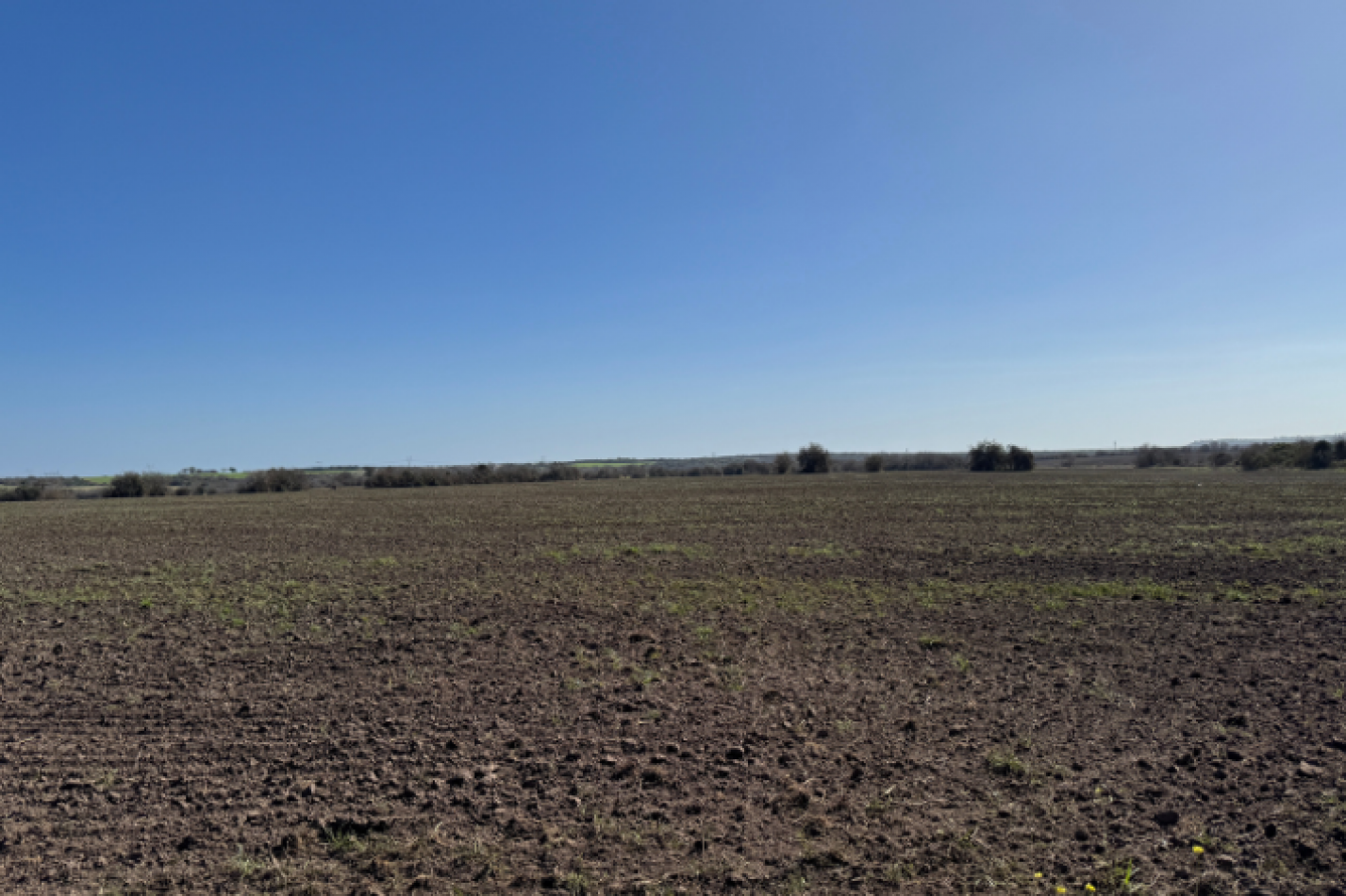 Campo de 10 hectareas en Colonia Avellaneda - Zona Acceso Norte, ideal inversion cerca de Parana