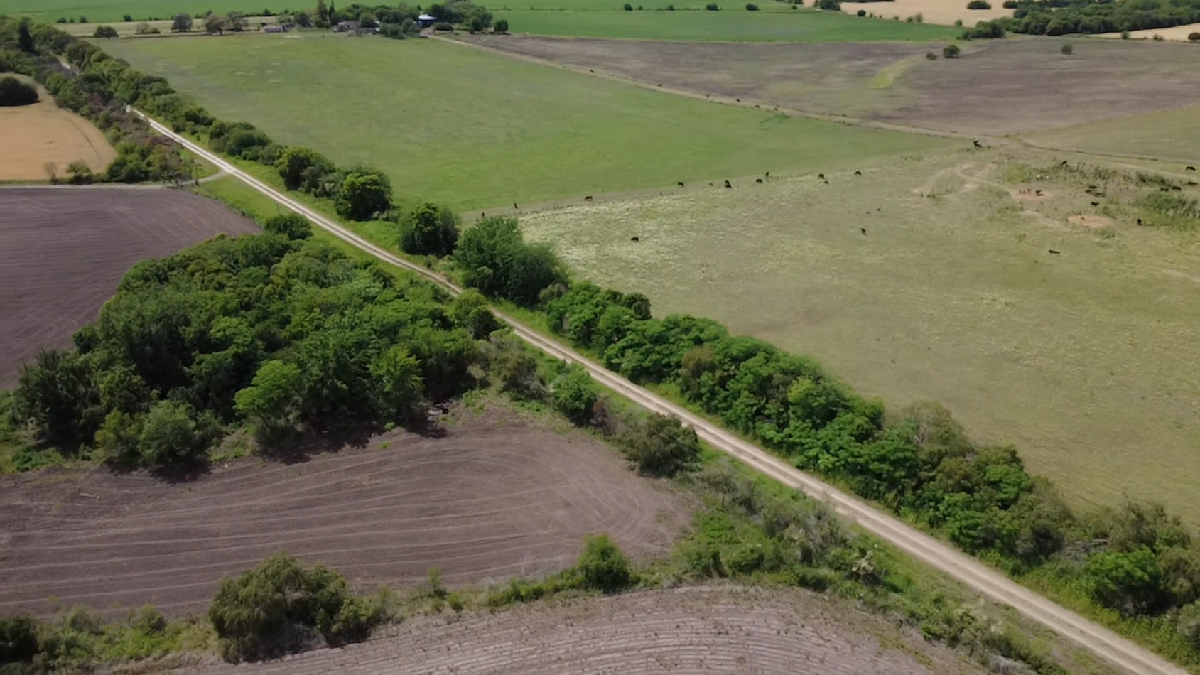 Campo de 10 hectareas en Colonia Avellaneda - Zona Acceso Norte, ideal inversion cerca de Parana