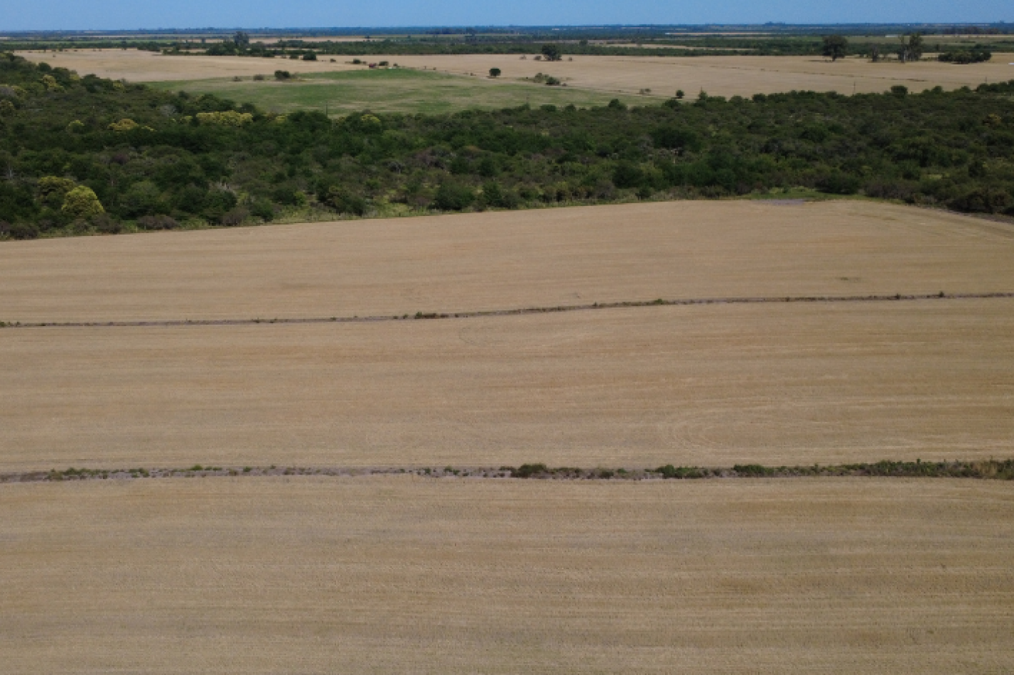 Campo de 119,5 hectareas productivas en Gobernador Sola