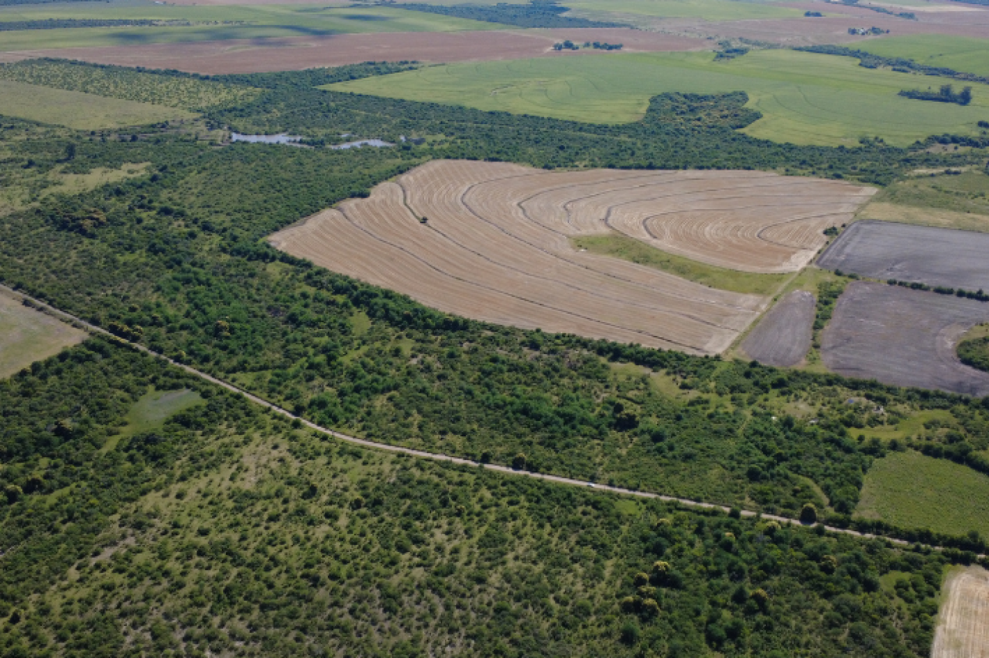 Campo de 119,5 hectareas productivas en Gobernador Sola