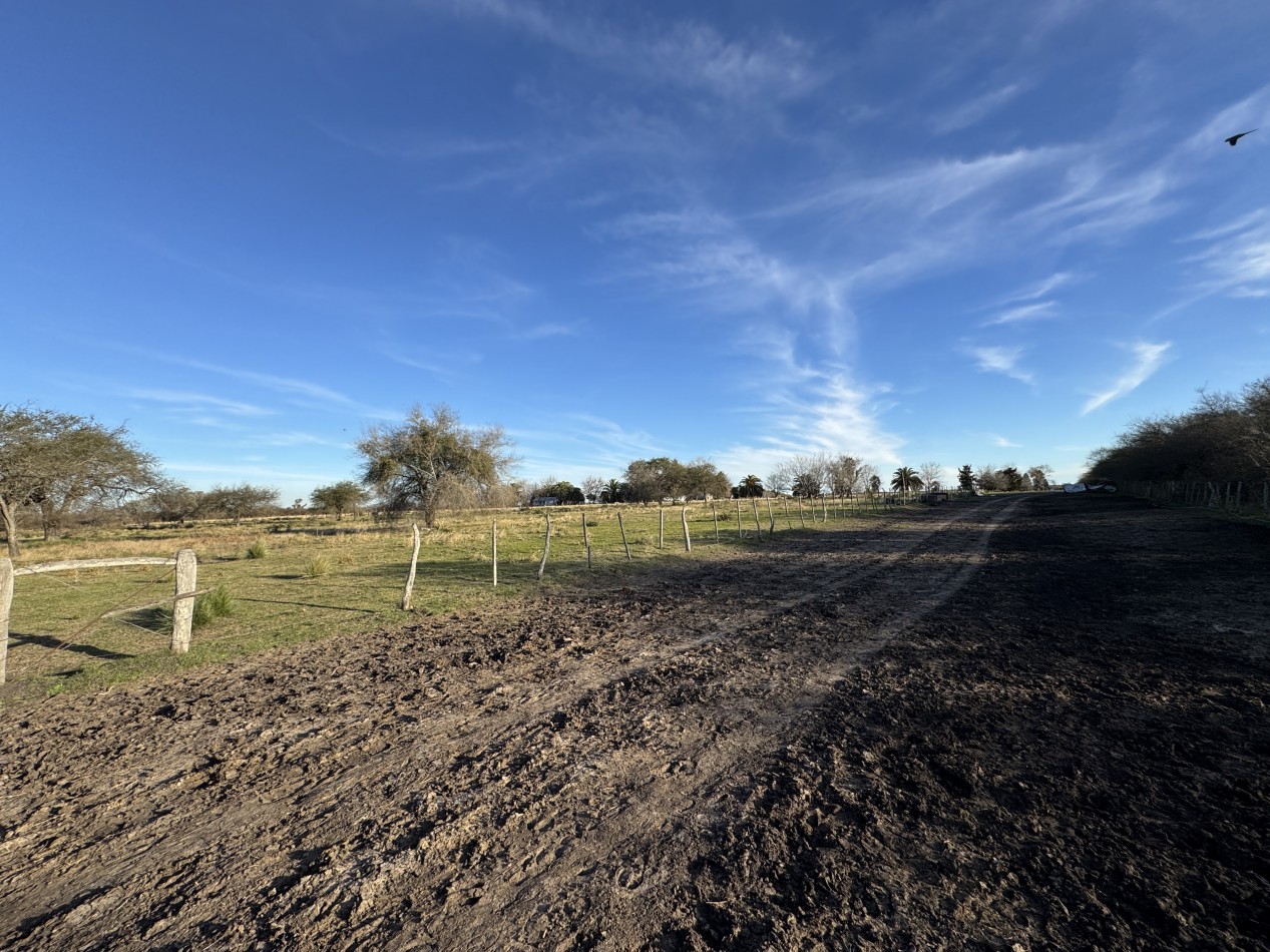 Campo agricola-ganadero de 76 hectareas con casa y mejoras en Mojones Norte