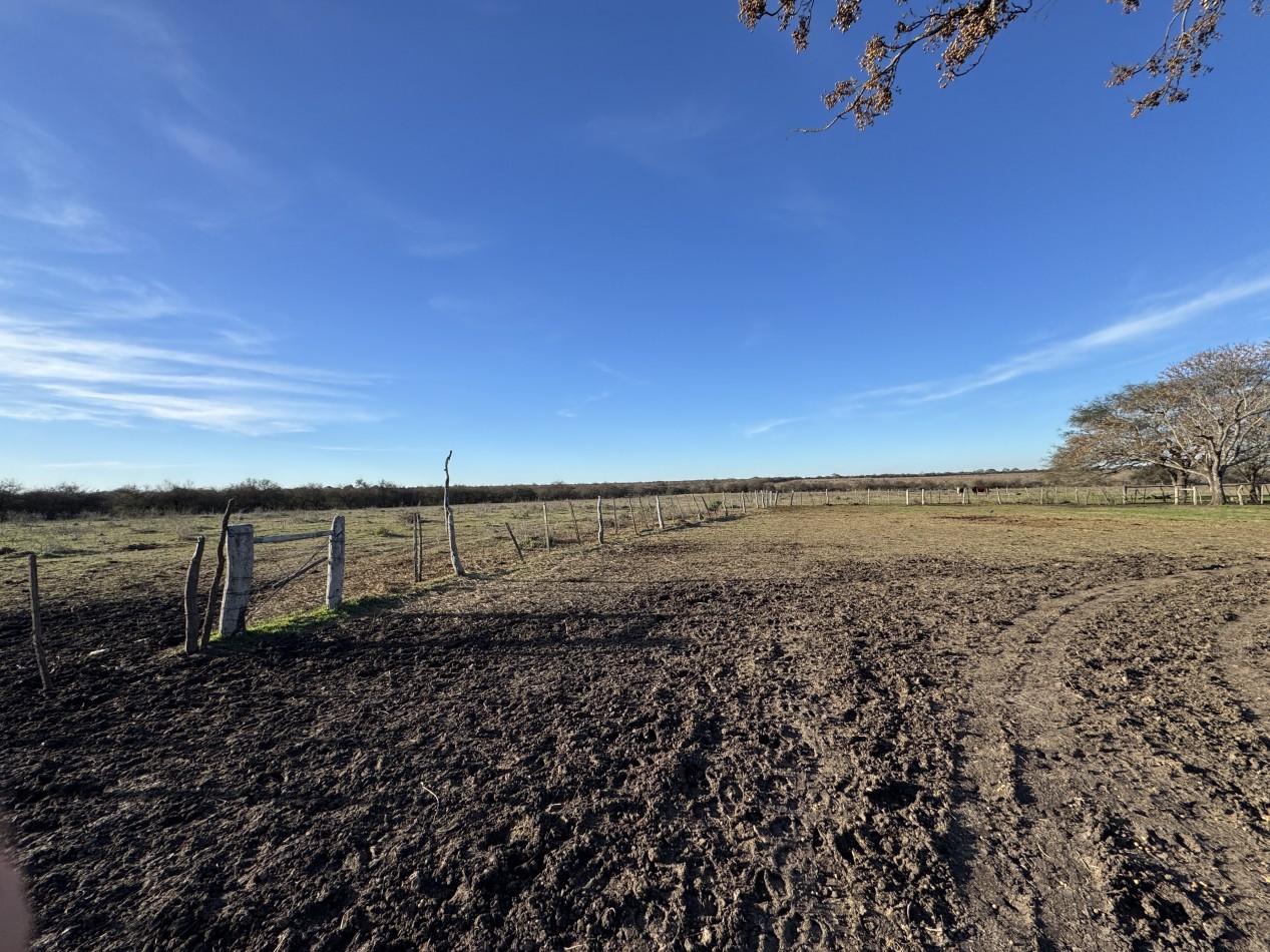 Campo agricola-ganadero de 76 hectareas con casa y mejoras en Mojones Norte