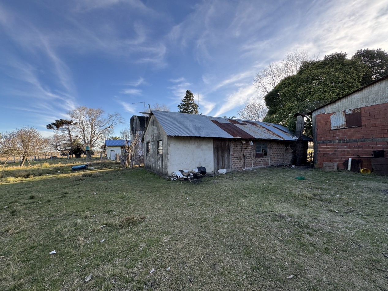 Campo agricola-ganadero de 76 hectareas con casa y mejoras en Mojones Norte