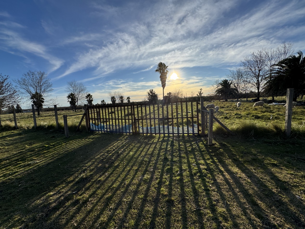 Campo agricola-ganadero de 76 hectareas con casa y mejoras en Mojones Norte