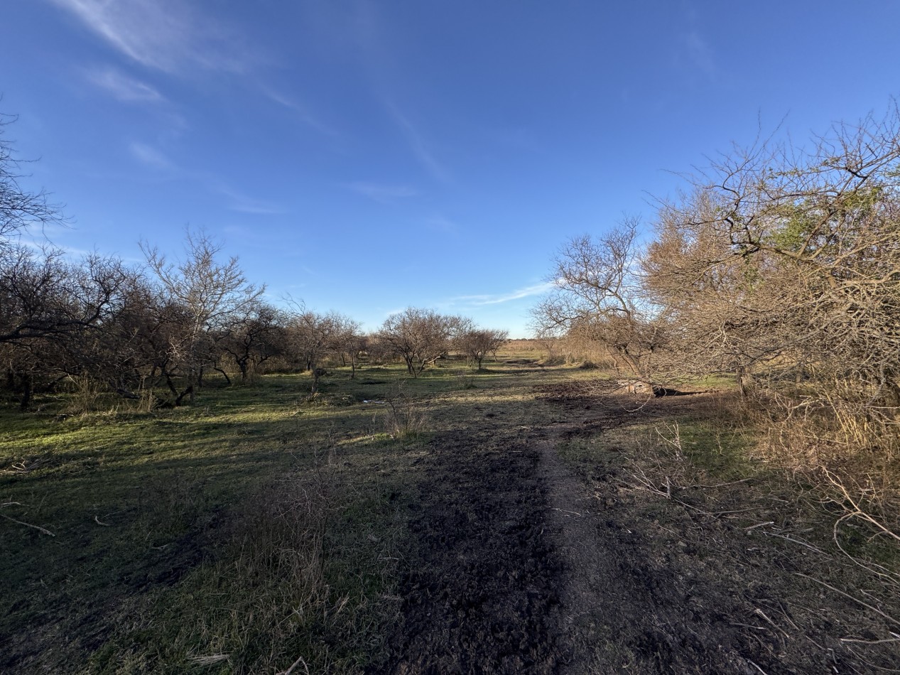 Campo agricola-ganadero de 76 hectareas con casa y mejoras en Mojones Norte