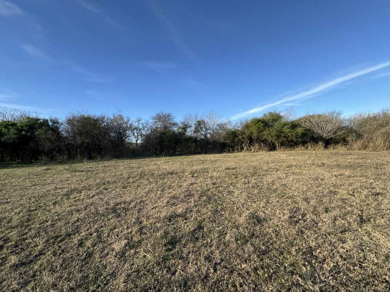 Campo agricola-ganadero de 76 hectareas con casa y mejoras en Mojones Norte