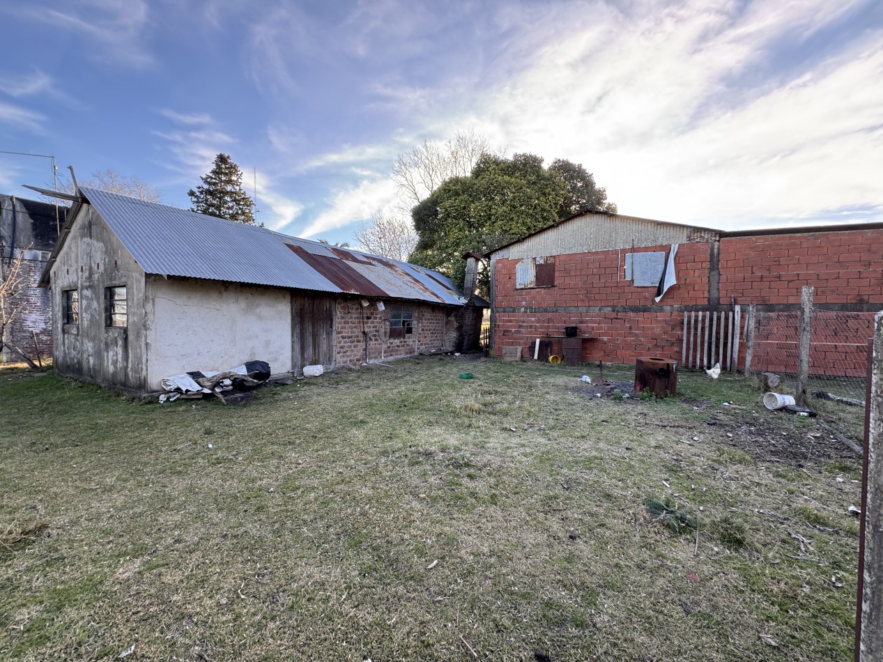 Campo agricola-ganadero de 76 hectareas con casa y mejoras en Mojones Norte