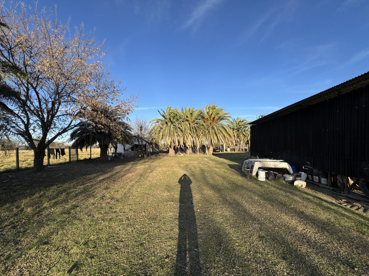 Campo agricola-ganadero de 76 hectareas con casa y mejoras en Mojones Norte