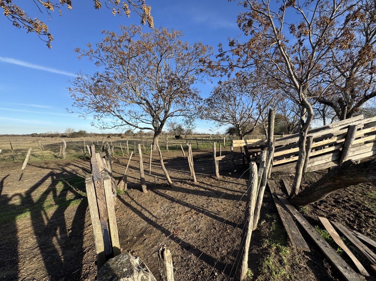 Campo agricola-ganadero de 76 hectareas con casa y mejoras en Mojones Norte