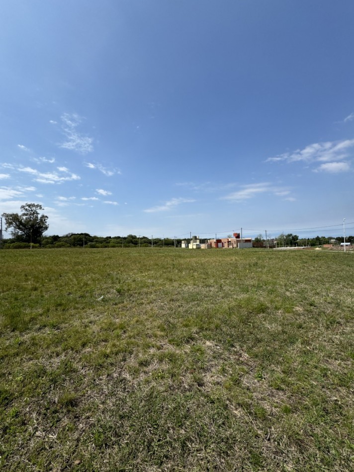 Lotes de 300 m² listos para escriturar en Colonia Avellaneda 