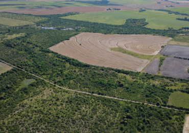 Campo de 119,5 hectareas productivas en Gobernador Sola