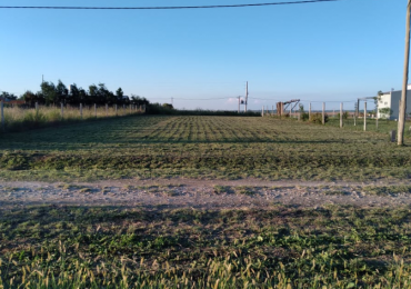 Lotes amplios de 960 m² en Aldea Spatzenkutter - Ideal casa quinta o vivienda en entorno natural